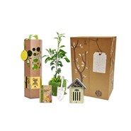 Coffret cadeau - bee happy - pommier