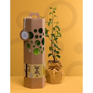 Coffret cadeau - bee happy - poirier
