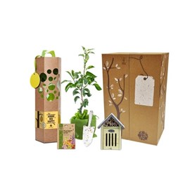 Coffret cadeau - bee happy - noisetier