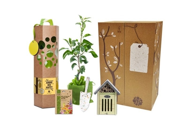 Arbre-cadeau - Coffret cadeau - bee happy - noisetier