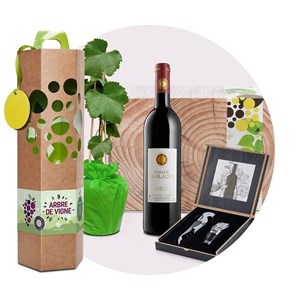 Coffret cadeau - arbre de vigne