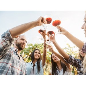 Coffret cadeau - arbre de vigne