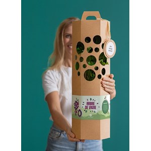 Coffret cadeau - arbre de vigne