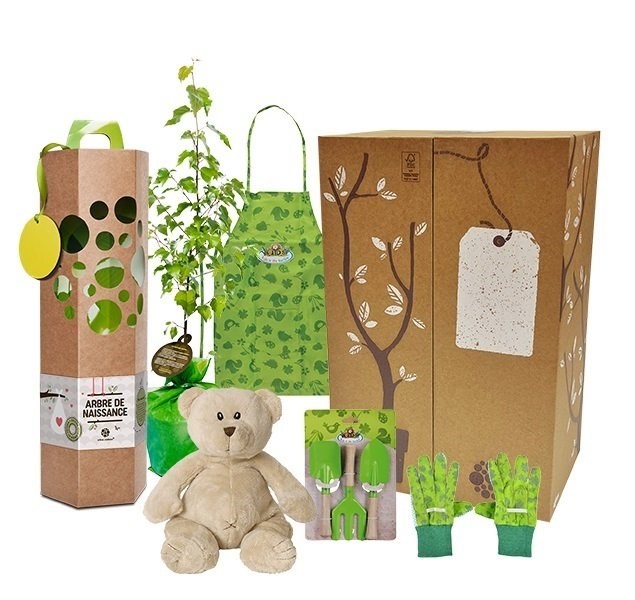 Coffret cadeau - naissance - bouleau