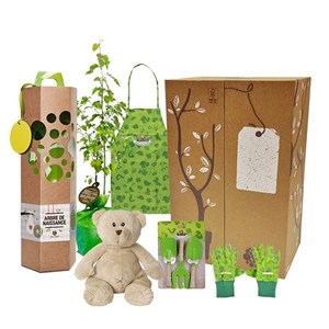 Coffret cadeau - naissance - ginkgo