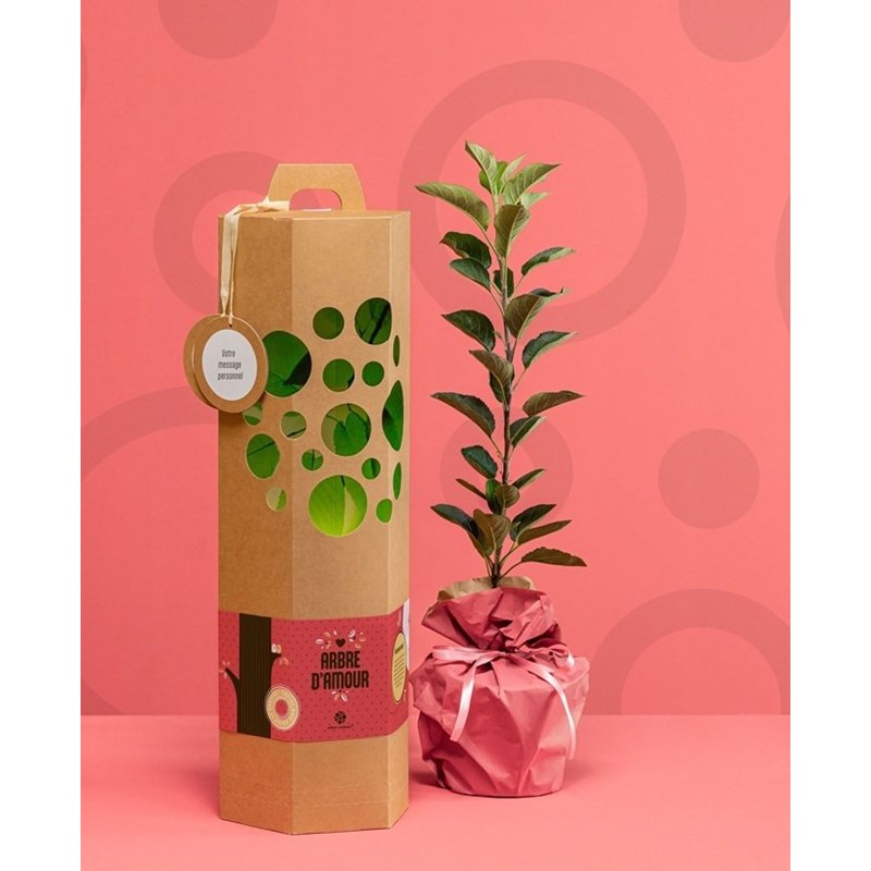Arbre-cadeau - Arbre d'amour - pommier