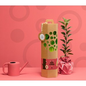 Arbre d'amour - pommier