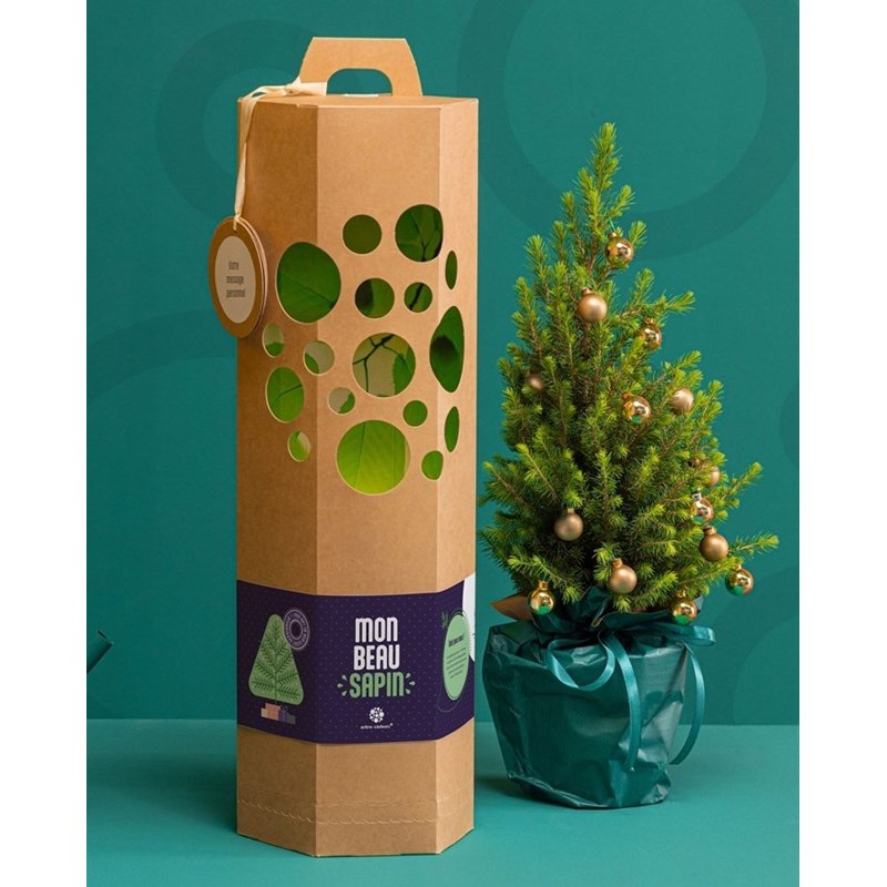 Mon beau sapin