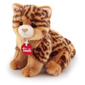 Trudi - chat brad animalier