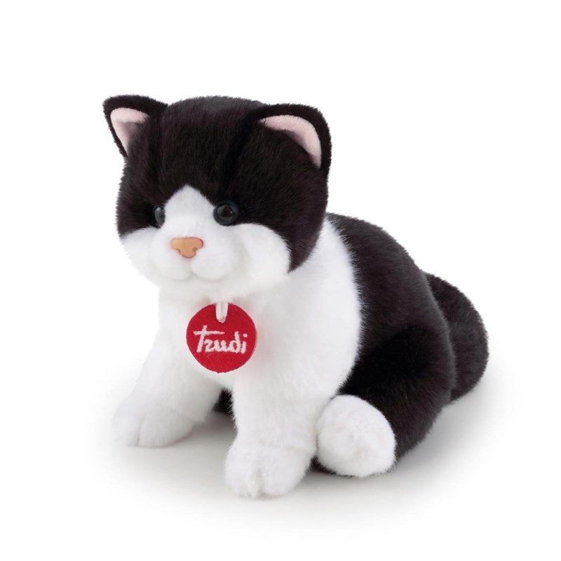 Trudi - chat brad blanc et noir