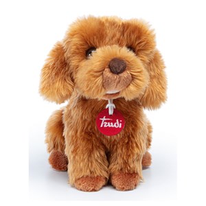 Trudi - caniche toy oliver assis