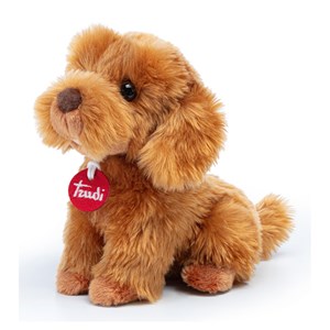 Trudi - caniche toy oliver assis