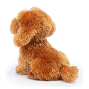 Trudi - caniche toy oliver assis