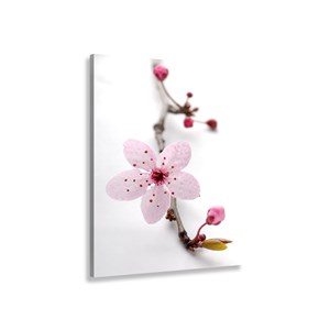 Tableau moderne fleurs prunus