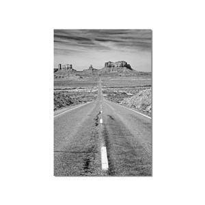 Tableau photo noir et blanc grand canyon