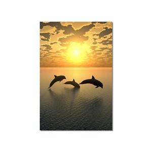Tableau décoratif dauphins