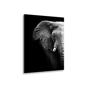 Tableau moderne photo éléphant