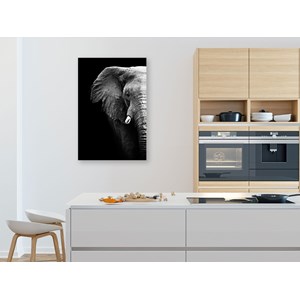 Tableau moderne photo éléphant