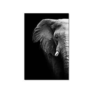 Tableau moderne photo éléphant