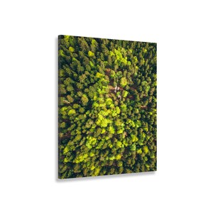 Tableau vue du ciel the green touch