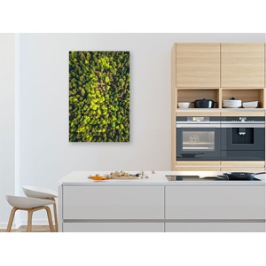 Tableau vue du ciel the green touch