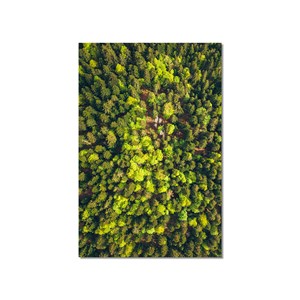 Tableau vue du ciel the green touch