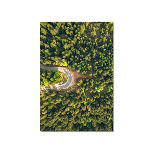 Tableau nature urbaine l' aventure
