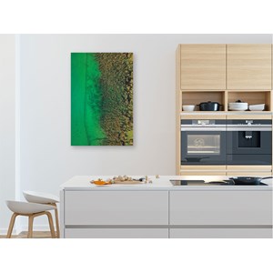 Tableau végétaux et flore aquatique