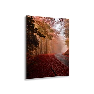 Tableau nature explosion automnale