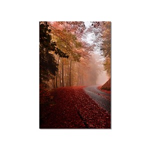 Tableau nature explosion automnale