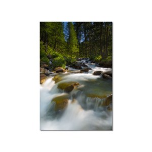 Tableau nature originelle