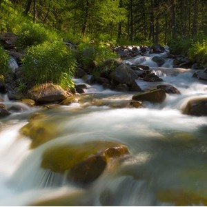Tableau nature originelle