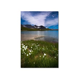 Tableau contemporain lac des estaris