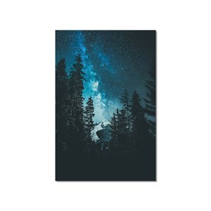 Tableau paysage voie lactée alpine