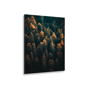 Tableau paysage en haute savoie