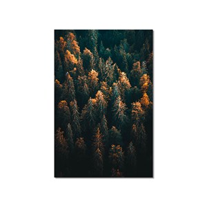 Tableau paysage en haute savoie