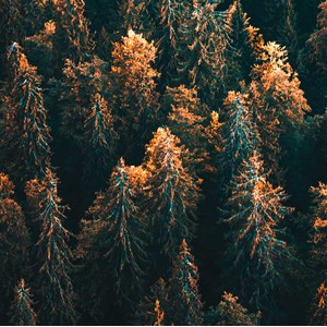Tableau paysage en haute savoie