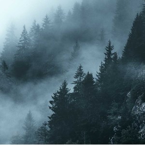 Tableau paysage suisse au petit matin