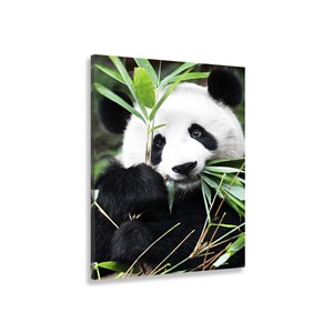 Tableau design regard de panda