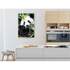 Tableau design regard de panda