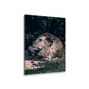 Tableau lion mon roi