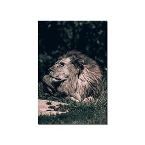 Tableau lion mon roi