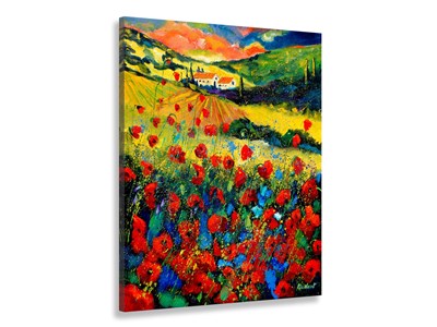 Tableau fleurs champ de coquelicot