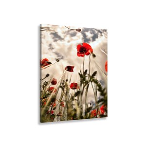 Tableau coquelicots