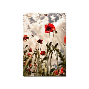 Tableau coquelicots