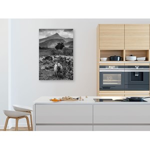 Tableau noir et blanc deco brebis