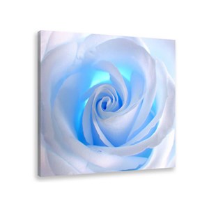 Tableau design blue roses