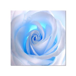 Tableau design blue roses