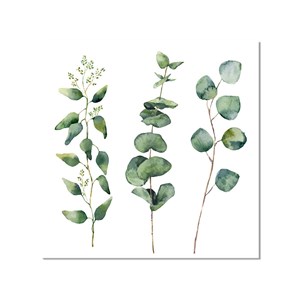 Toile deco aquarelle eucalyptus