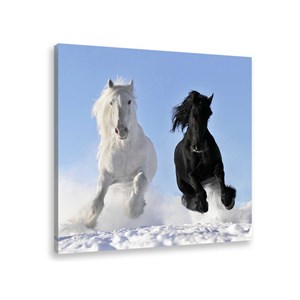Tableau photo chevaux